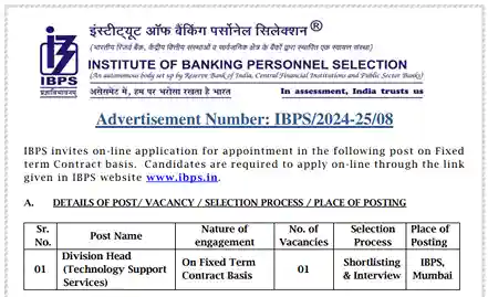 IBPS Recruitment 2025